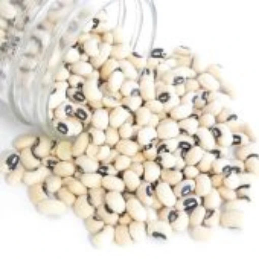 California Blackeye No. 46 Cowpeas CP28-50