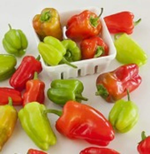 Cajun Bell Peppers HP2468-10320-10 