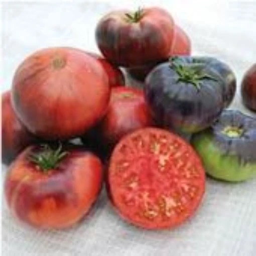 Indigo Blue Beauty Tomato TM780-20