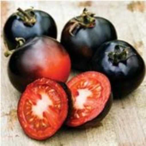 Indigo Rose Tomato TM784-20