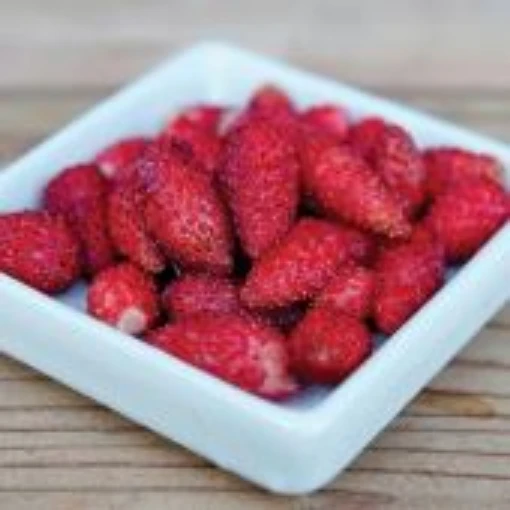 Italian Alpine Strawberries ST4-25