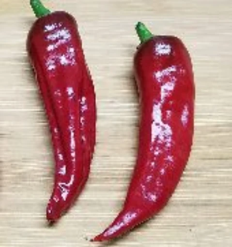 Chilcostle Rojo Peppers HP873-10