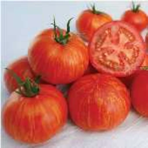 Skyreacher Tomato TM835-20