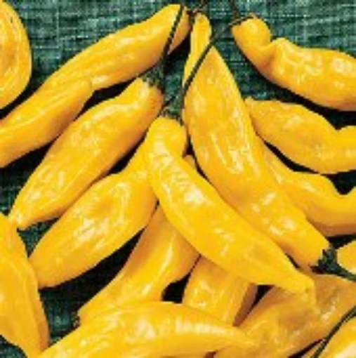 Hot Lemon Peppers HP111-20