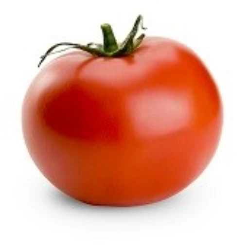 Rally Tomato TM891-10