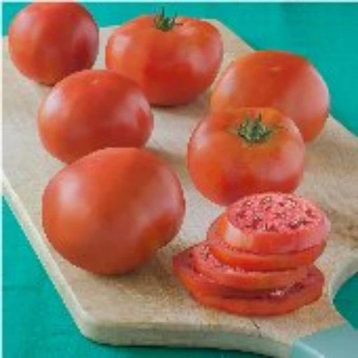 Red Pride Tomato TM892-10