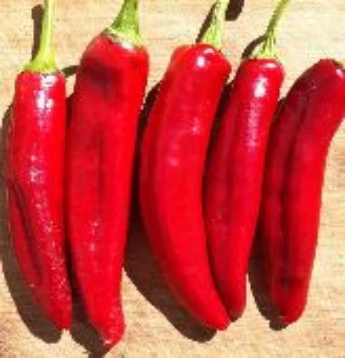 Hungarian Spice Paprika Peppers SP222-10