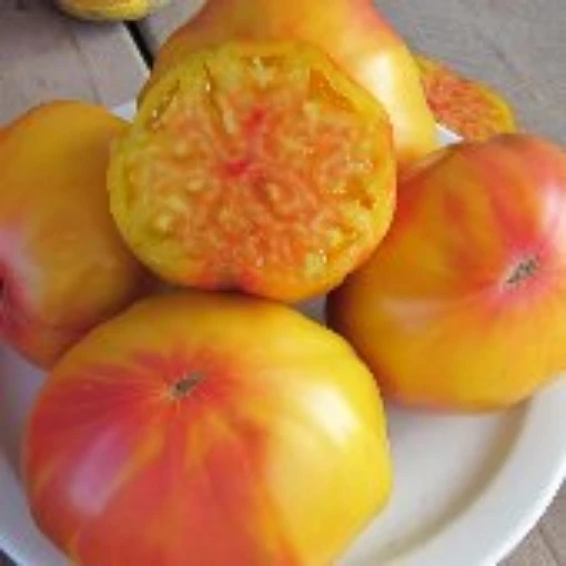 Marizol Gold Tomato TM720-10