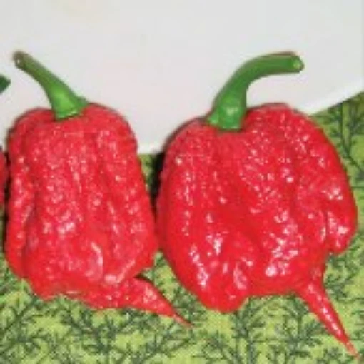 Carolina Reaper Red Peppers HP2293-10