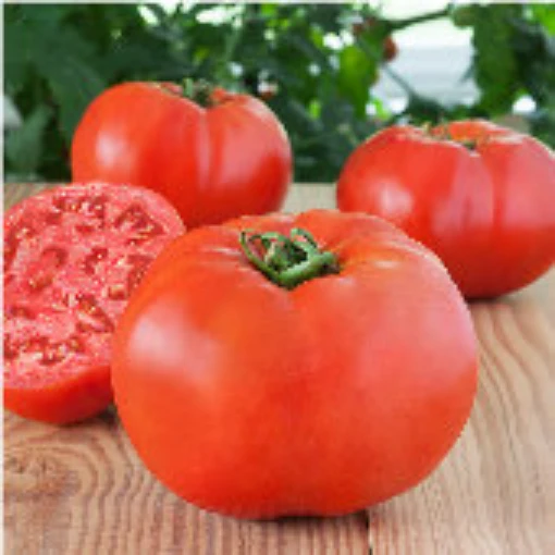 Glamour Tomato TM610-10