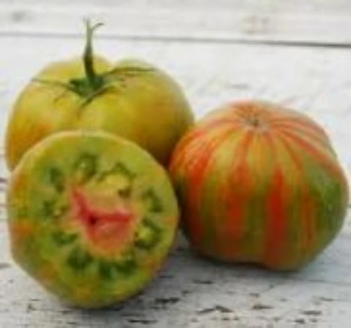 Green Berkeley Tie-Dye Tomato TM863-20