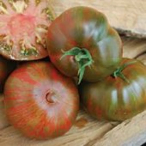 Large Barred Boar Tomato TM821-20