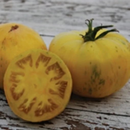 Pineapple Pig Tomato TM822-20