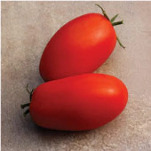 Supremo Tomato TM819-10