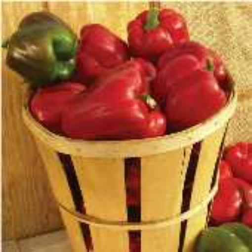Alliance Sweet Peppers