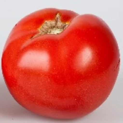 Empire Tomato TM488-20