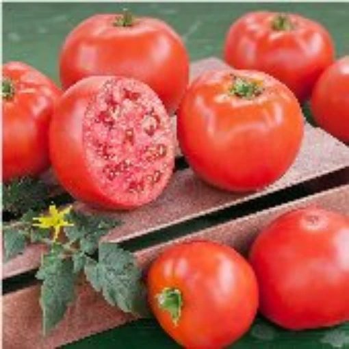 Goliath Original Tomato TM53-20