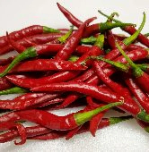 Chile de Arbol Peppers HP51-20