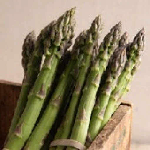 Millennium Asparagus AS7-25