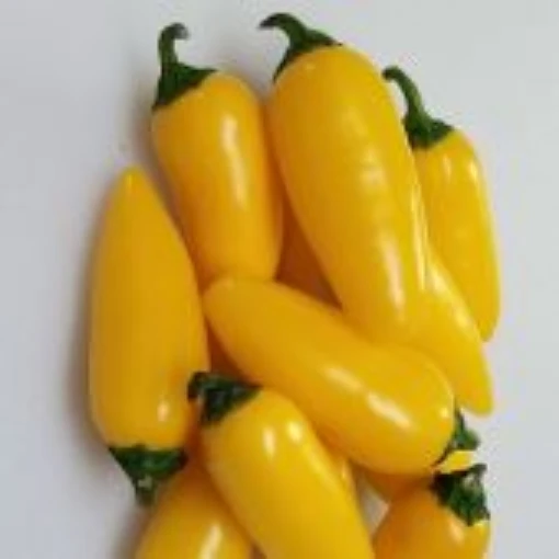 NuMex Lemon Spice Jalapeno Hot Peppers HP2427-20