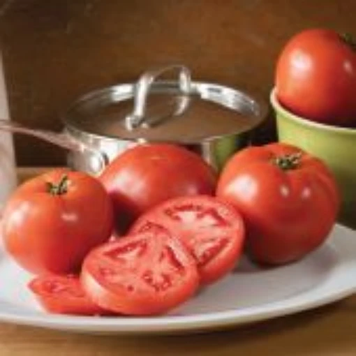 Big Beef Plus Tomato Seeds TM915-20