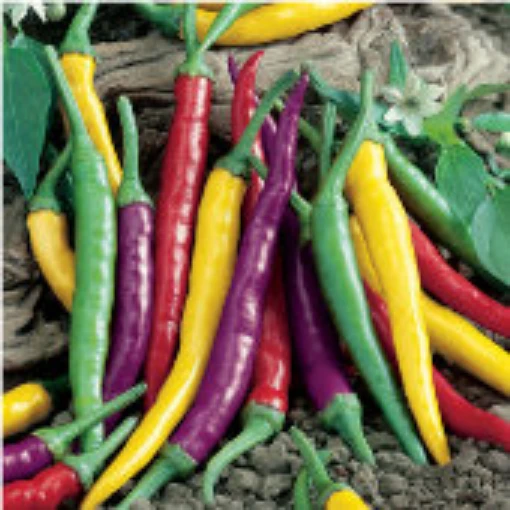 Cayenne Blend Peppers HP2432-20