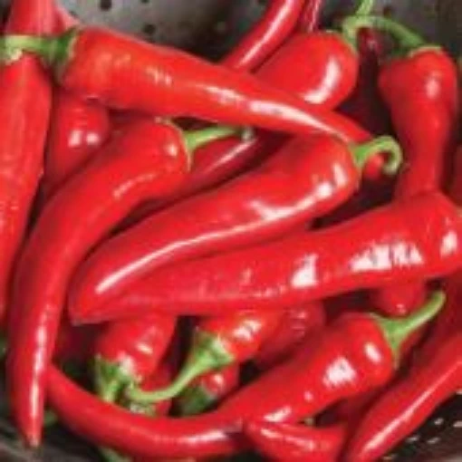 Red Ember Peppers HP2459-10