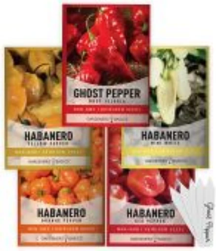 Assorted Ghost & Habanero Peppers (5 Pack) HP2465-5PK