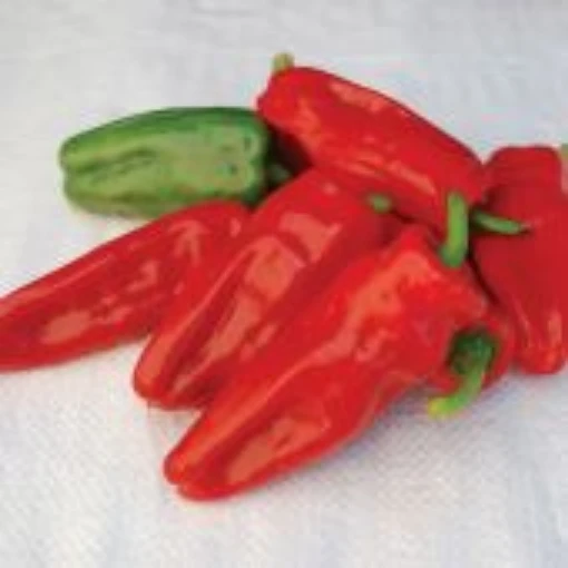 Aleppo Peppers HP2478-10