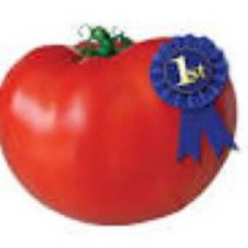 Blue Ribbon Tomato TM939-20