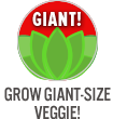 Giant Veggies