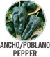 Ancho/Poblano Pepper