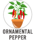 Ornamental Pepper