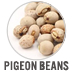 Pigeon Beans