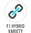 F1 Hybrid Variety