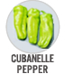 Cubanelle Pepper