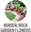 Border/Rock Garden Flowers