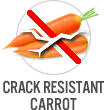 Crack Resistant Carrot