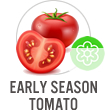 Early Season Tomato