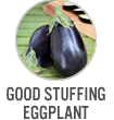 Good Stuffing Eggplant