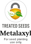 Treated Seeds Metalaxyl