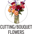 Cuttings/Bouquet Flowers