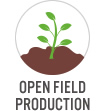 Open Field Production