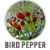 Bird Pepper