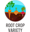 Root Crop Variety