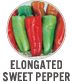 Elongated Sweet Pepper