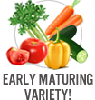 Early Maturing Variety!