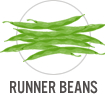 Runner Beans