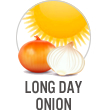 Long Day Onion