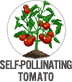 Self-Pollinating Tomato